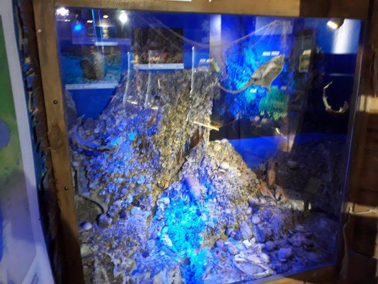 Deniz Biyolojisi Müzesi